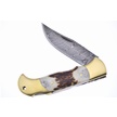 CCN-108154 - Damascus Stag Cougar (1pc)