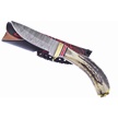 CCN-110405 - Stag Damascus Skinner (1pc)