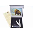 CCN-110438 - H&R Black Mammoth Molar (1pc)