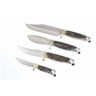 CCN-112131 - Stag Bone Surprise (4pc)