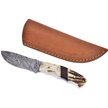 CCN-114250 - Valley Forge Stag Damascus (1pc)