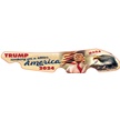 CCN-114282 - Trump Better America (1pc)