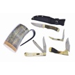 CCN-114431 - Ox Horn Favorites (5pc)