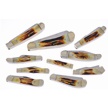 CCN-117474 - Torch Bone Showcase (10pc)
