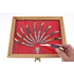 CCN-117992 - Texas Toothpick Showcase (10pc)