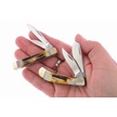 CCN-118152 - Deal Of The Day (2pc)