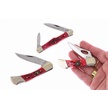 CCN-118154 - Deal Of The Day (3pc)