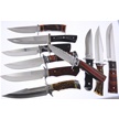 CCN-118408 - Sharps Unleashed (10pc)