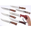 CCN-118409 - Sharps Satisfaction (7pc)