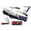 CCN-118457 - America Freedom (5pc)