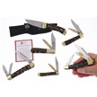 CCN-118459 - Cobra Connection (6pc)