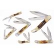 CCN-118466 - Torchbone Select Six Pack (6pc)
