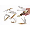 CCN-118466 - Torchbone Select Six Pack (6pc)