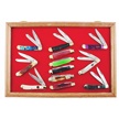CCN-118478 - Trapperized Showcase (12pc)
