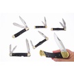 CCN-118488 - Cape Buffalo Six Pack (6pc)