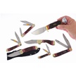 CCN-118524 - Autumns Finest (7pc)