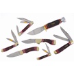 CCN-118524 - Autumns Finest (7pc)