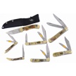 CCN-118526 - Ram Tough Warriors (7pc)