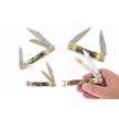 CCN-118538 - Mojave Bone Best (4pc)