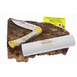 CCN-118593 - Painted Pony Buck Blade Show Prototype (1pc)