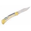 CCN-118593 - Painted Pony Buck Blade Show Prototype (1pc)