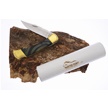 CCN-118598 - Painted Pony Buck Blade Show Prototype (1pc)
