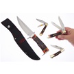 CCN-118628 - Sharp Companions (4pc)