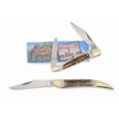 CCN-118662 - Stag Duo (2pc)