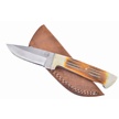 CCN-118668 - Deal Of The Day (1pc)