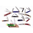 CCN-118683 - Whitetail Unleashed (11pc)