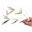 CCN-118689 - Mojave Bone Blowout (5pc)