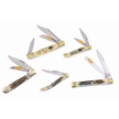 CCN-118689 - Mojave Bone Blowout (5pc)