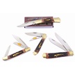 CCN-118691 - Sharps Remains (4pc)