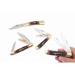CCN-118691 - Sharps Remains (4pc)