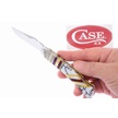 CCN-118702 - Painted Pony Case Wildhorse Axe (1pc)