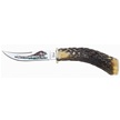 CCN-12139 - Case  Small Game Knife (1pc)