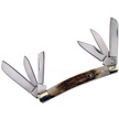CCN-51632 - 6-Bladed Stag Congress(1pc)