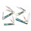 CCN-57053 - Abalone Warrior Collection (4pcs)