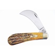 CCN-57220 - Case Bone Stag Hawkbill (1pc)