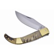 CCN-58737 - Little Ram's Horn Folder (1pc)