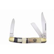 CCN-83058 - Show Sample White Smoothbone Ox Horn Cape Buffalo Horn Stockman (1pc)