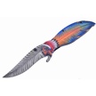 CCN-83541 - Show Sample Orange Feather Snapshot (1pc)