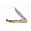 TS-128 - Trophy Stag Folder 5